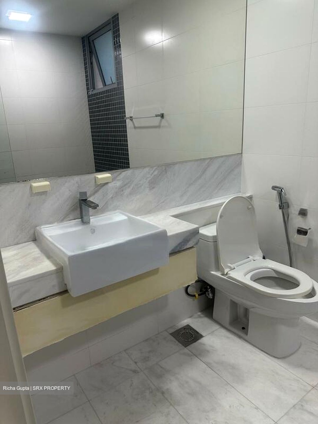 Ferraria Park Condominium (D17), Condominium #463497381